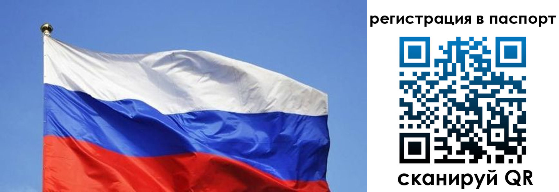 прописка в квартире в Похвистнево
